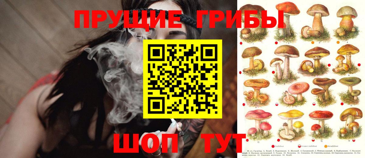 Псилоцибиновые грибы мухоморы Набережные Челны